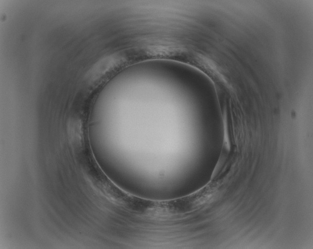 X0000062860211200601131424