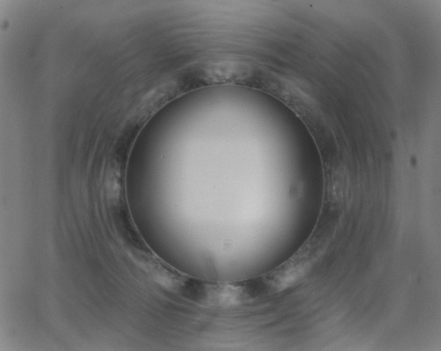 X0000062860226200601131424
