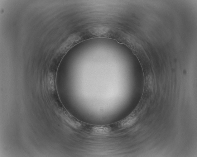 X0000062860234200601131423