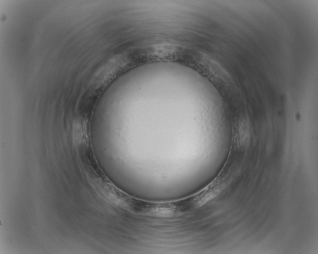 X0000062860236200601131423