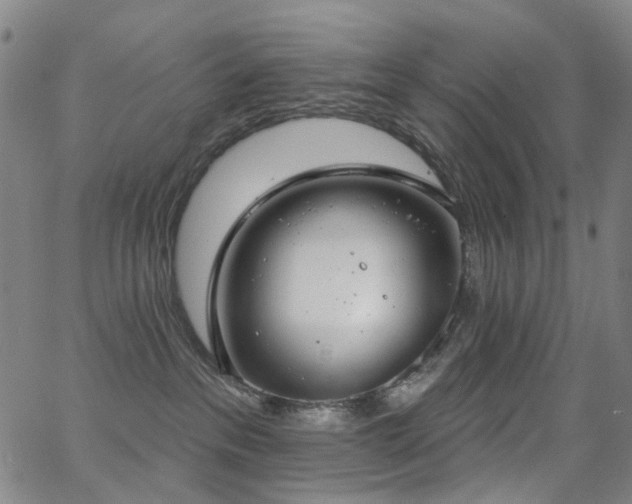X0000062860237200601131423