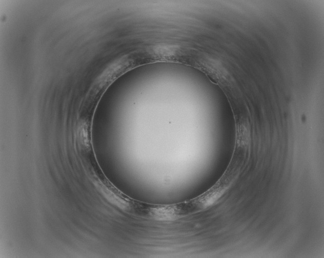 X0000062860238200601131423