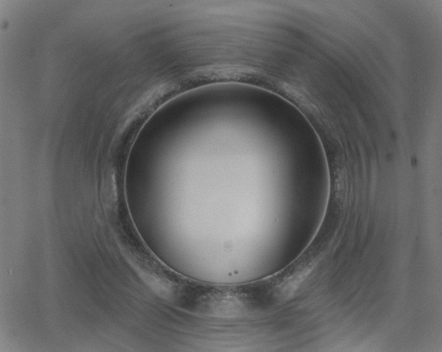 X0000062860254200601131423