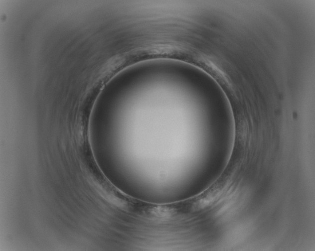X0000062860261200601131423
