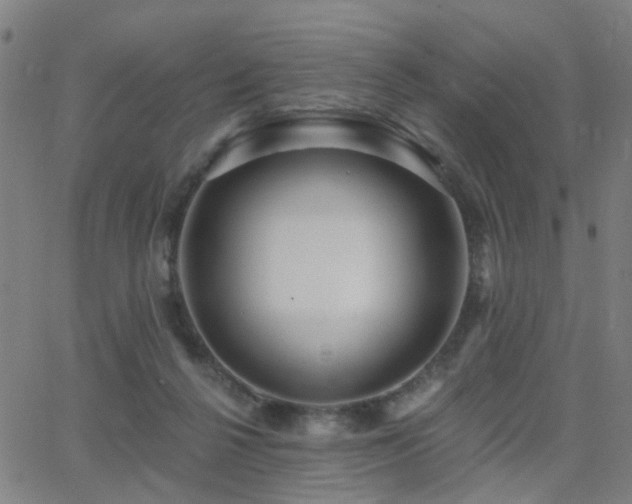 X0000062860264200601131423