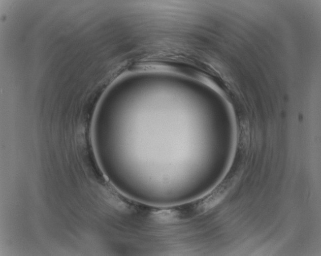 X0000062860269200601131423