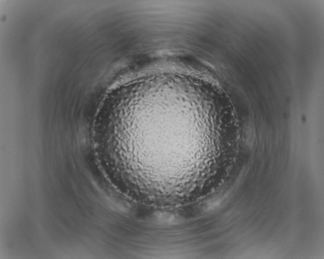 X0000062860272200601131423