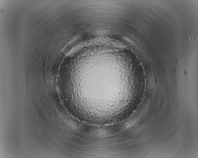 X0000062860276200601131423