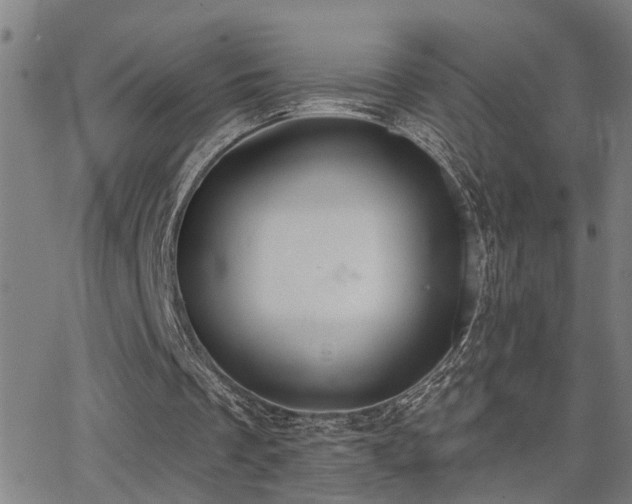 X0000062860289200601131423