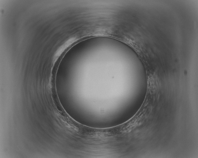 X0000062860292200601131422