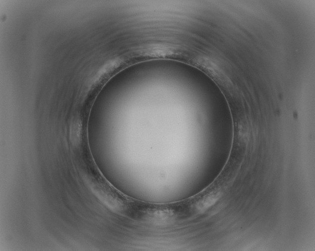 X0000062860304200601131422