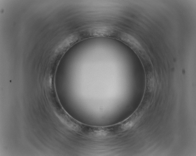 X0000062860310200601131422