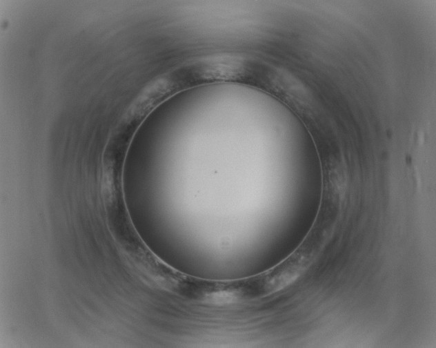 X0000062860312200601131422