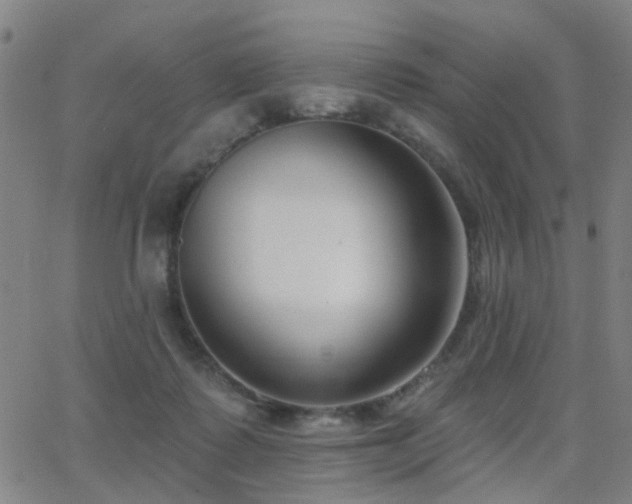 X0000062860315200601131422
