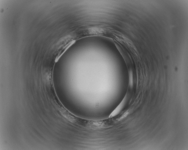 X0000062860329200601131422