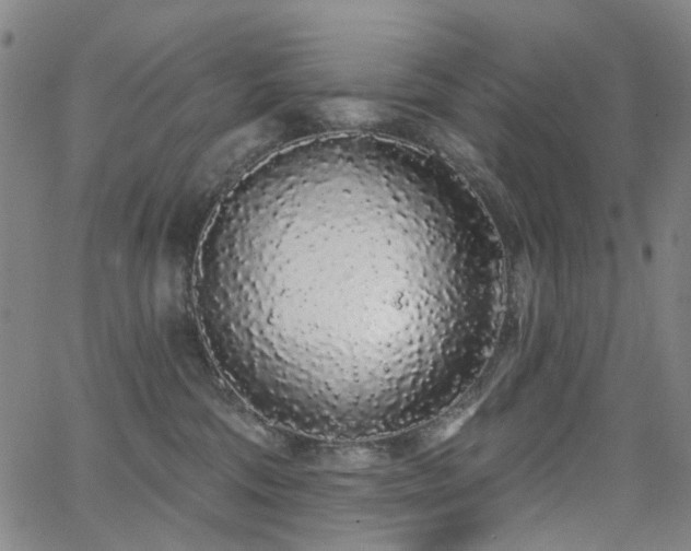 X0000062860330200601131422