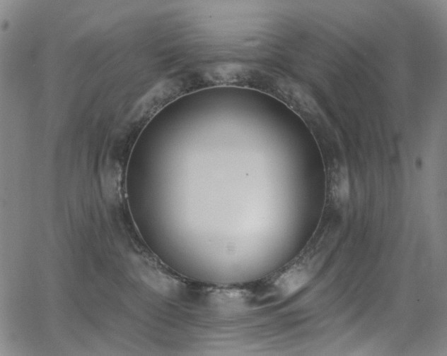 X0000062860332200601131422