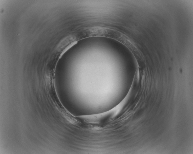 X0000062860333200601131422