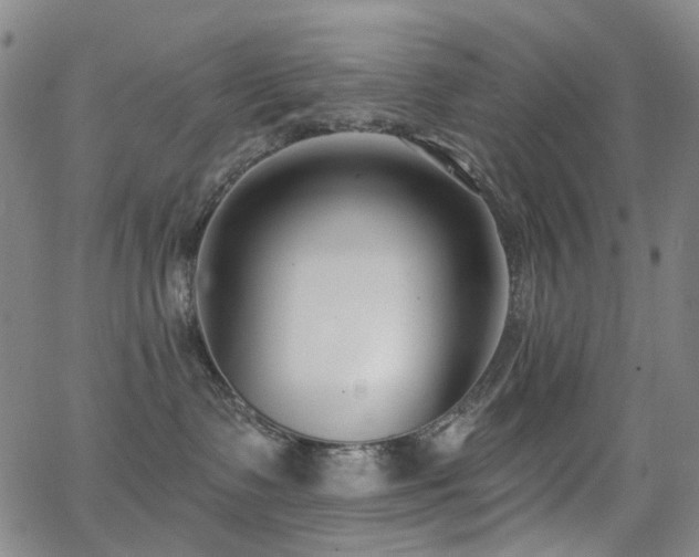 X0000062860335200601131422
