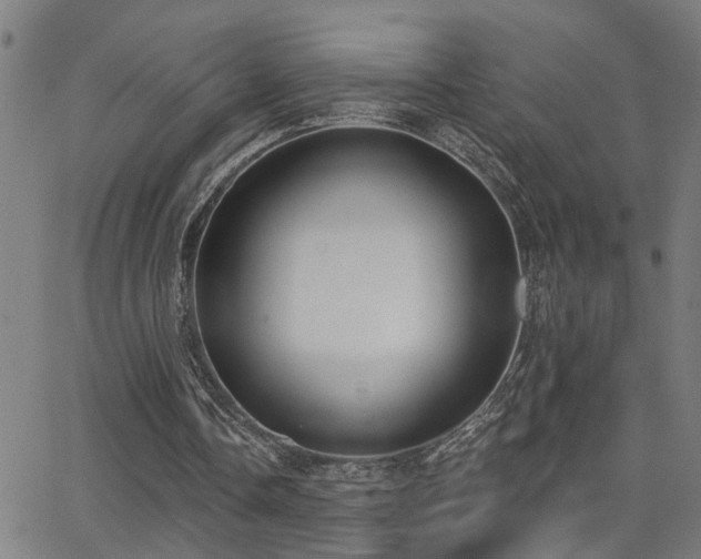 X0000062860338200601131421