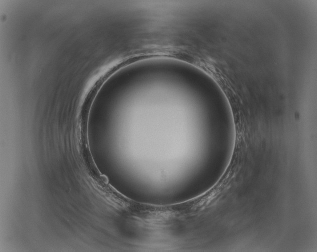 X0000062860342200601131421