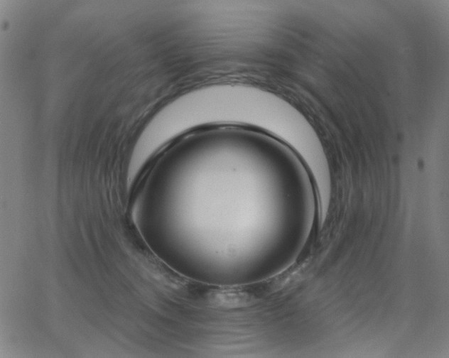 X0000062860372200601131422