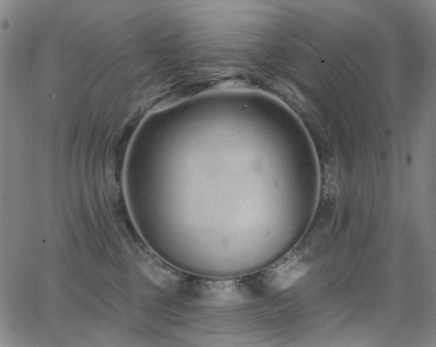 X0000062860377200601131422