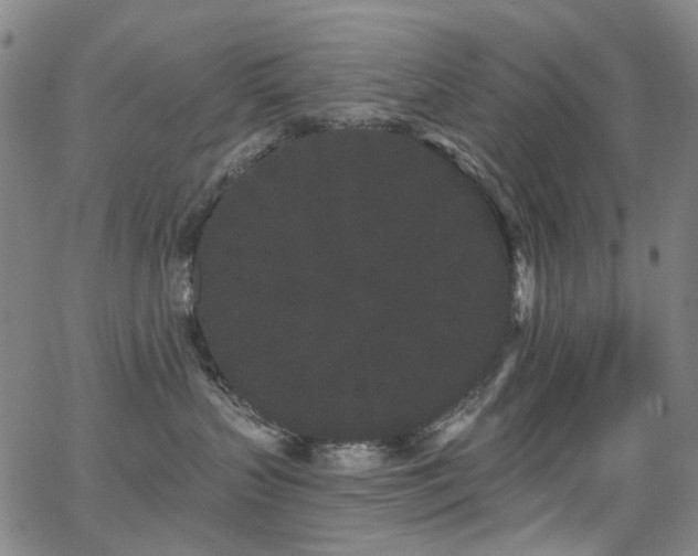 X0000062860383200601131422