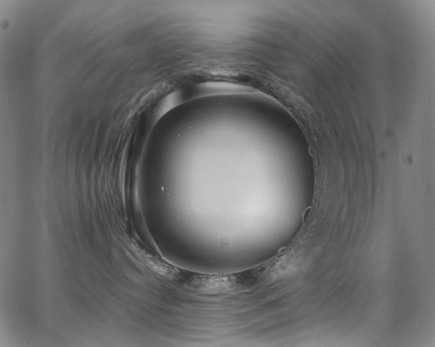 X0000062860384200601131422