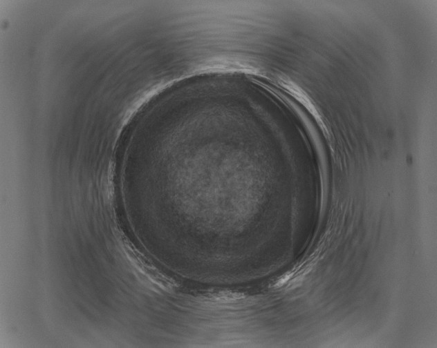 X0000062860387200601131421
