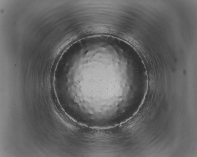 X0000062860390200601131421