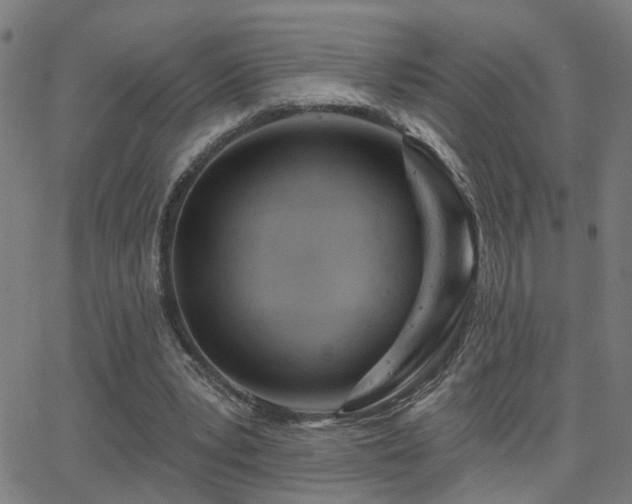 X0000062860391200601131421