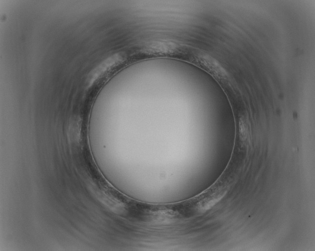 X0000062860396200601131421