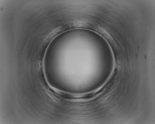 X0000062860401200601131421