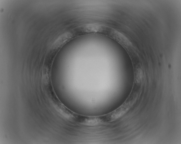 X0000062860414200601131420