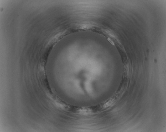 X0000062860415200601131420