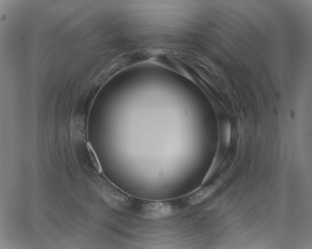 X0000062860421200601131420