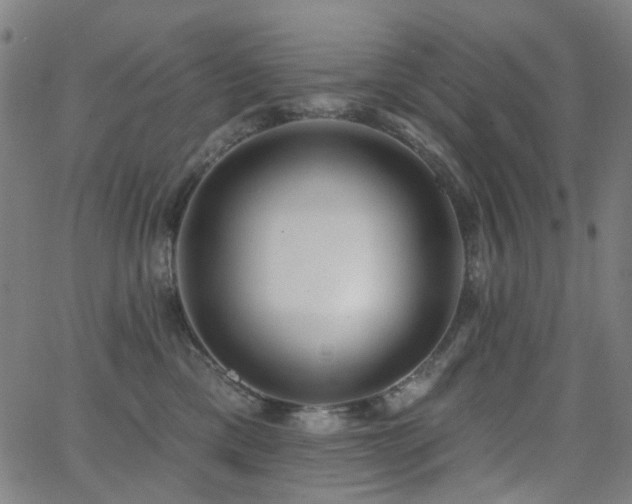X0000062860425200601131420