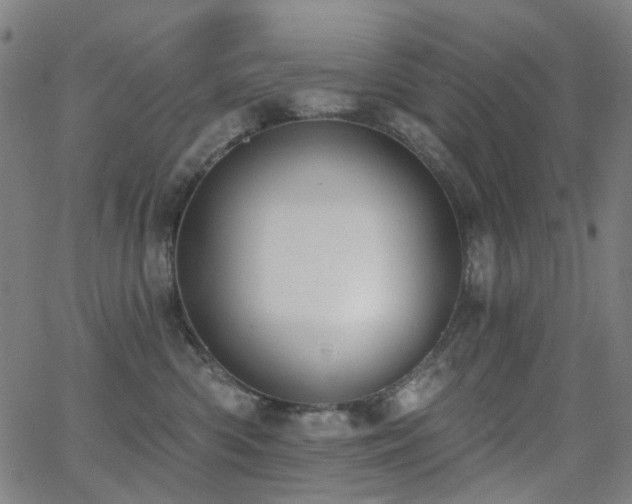 X0000062860426200601131420