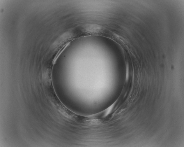 X0000062860428200601131420