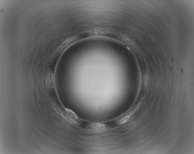 X0000062860429200601131420