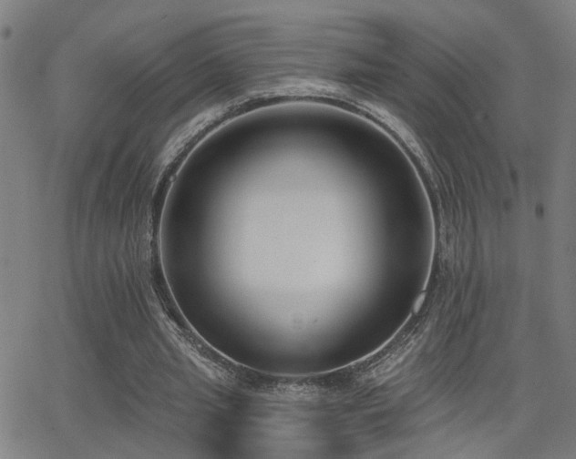 X0000062860437200601131419