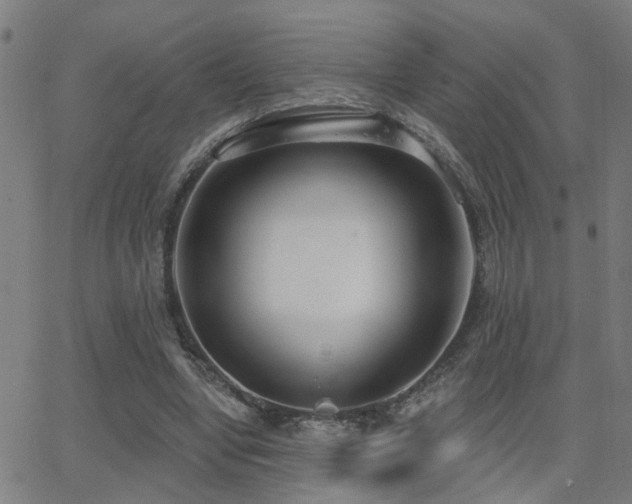 X0000062860442200601131420