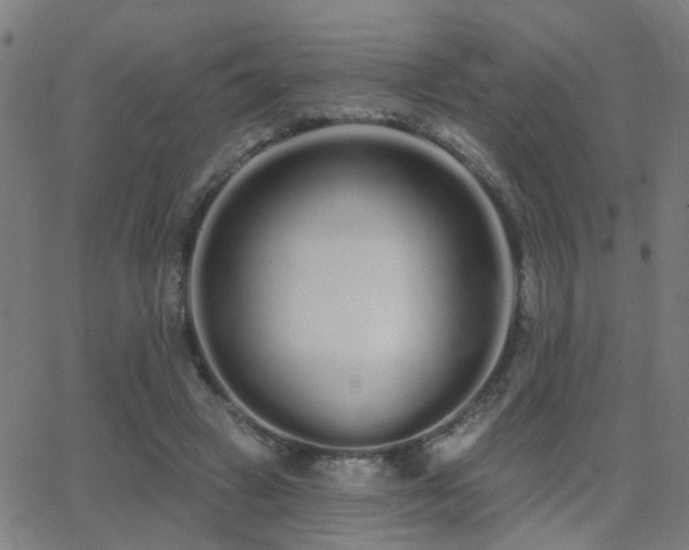 X0000062860449200601131420