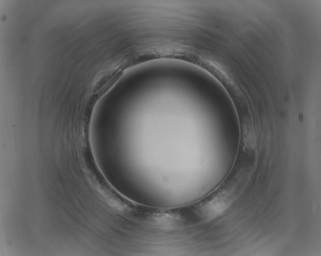 X0000062860453200601131420