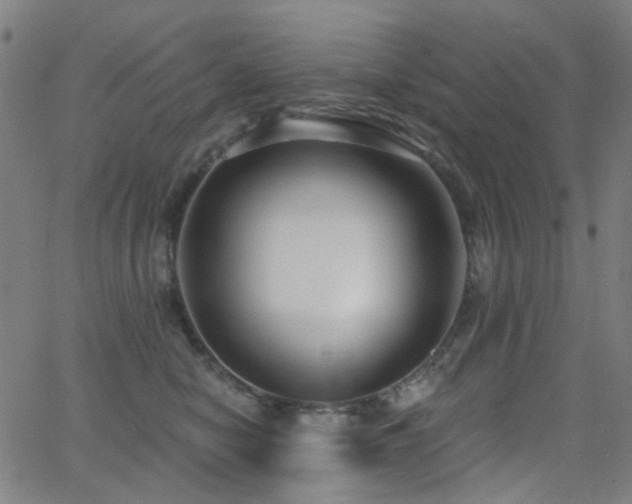 X0000062860470200601131420