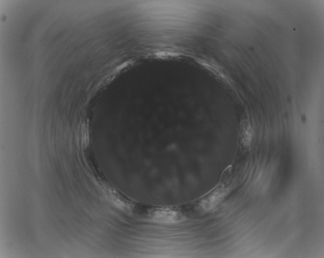X0000062860471200601131420