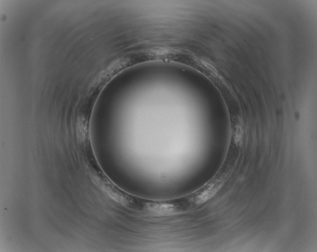 X0000062860476200601131420
