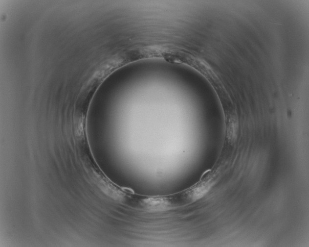 X0000062860477200601131420