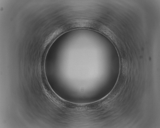 X0000062860482200601131419